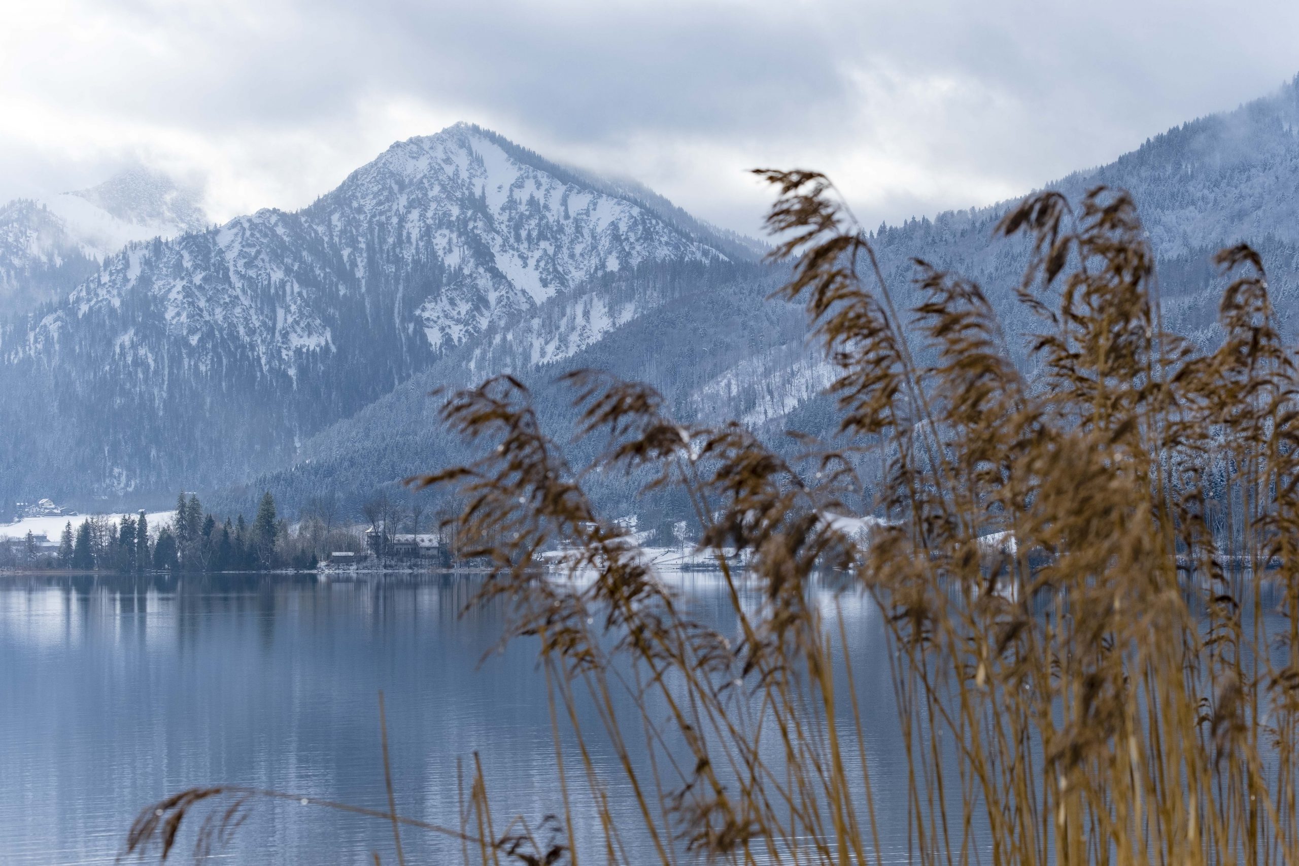 Performance Beyond Limits Get In Contact With Us